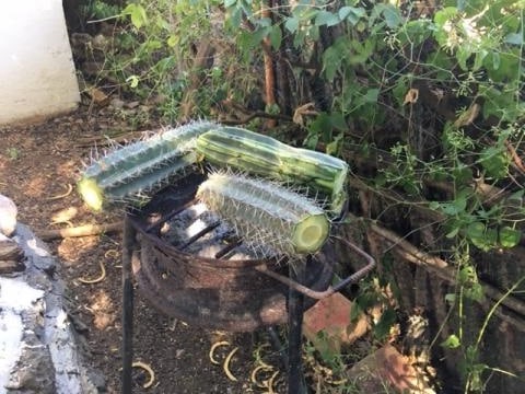 Het Huis van de Maisranken