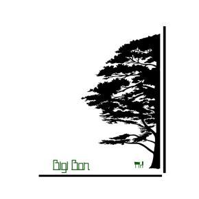Logo Bigi Bon