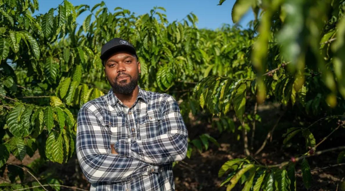 Ghana set for the coffee market