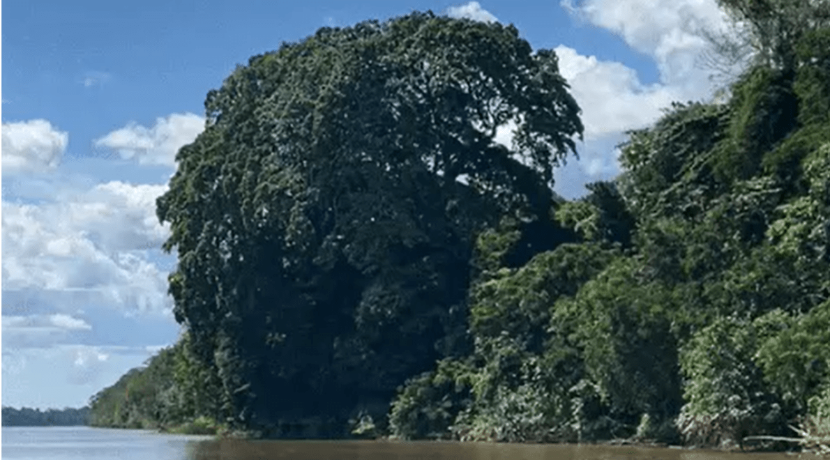 Broos Institute launches archaeological research on former plantation in Suriname